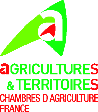 logo7
