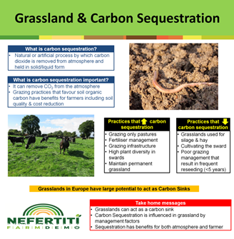 grassland vs forest carbon sequestration